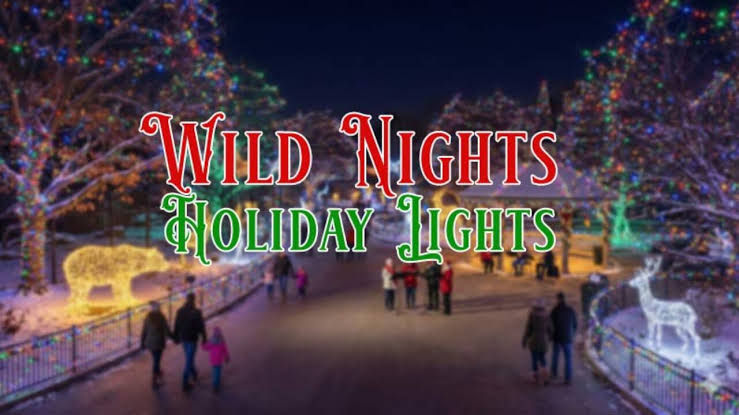 18+ Holiday Lights & Pizza